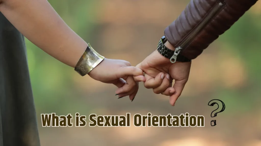 What Is Sexual Orientation Mean