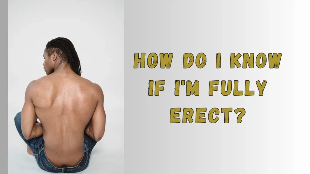 How Do I Know If I'm Fully Erect