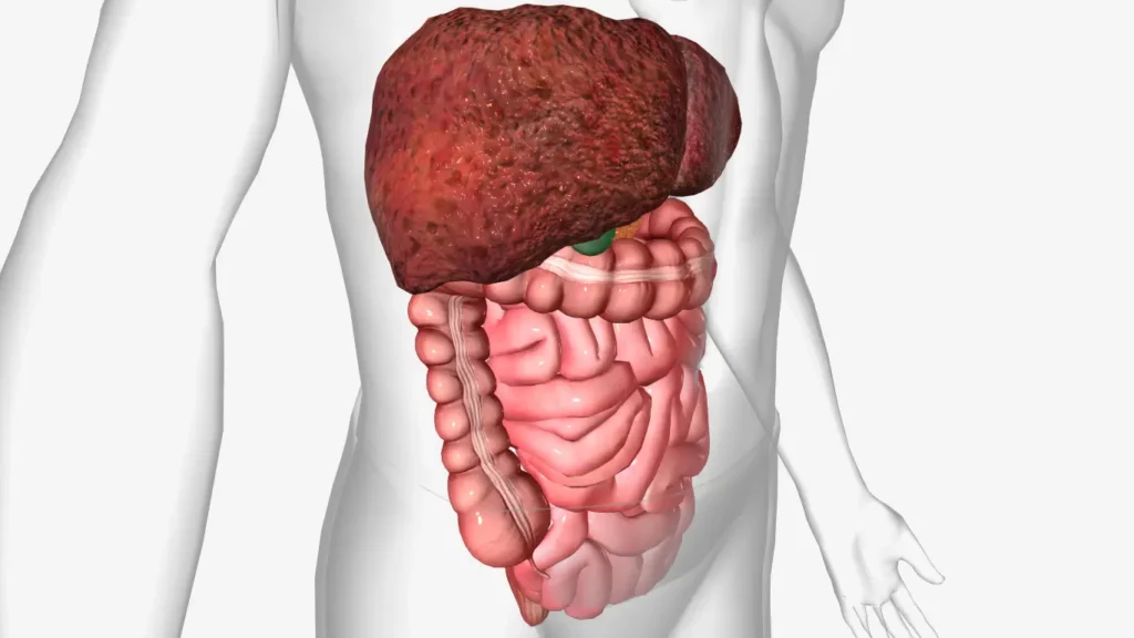 How to Control Fatty Liver