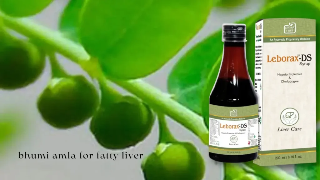 how to use bhumi amla for fatty liver